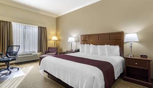 Standard Room, 1 King Bed, Refrigerator & Microwave, Vineyard View