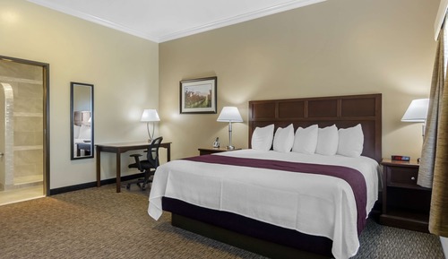 Suite, 1 King Bed, Non Smoking, Kitchen (Walk-in Shower)