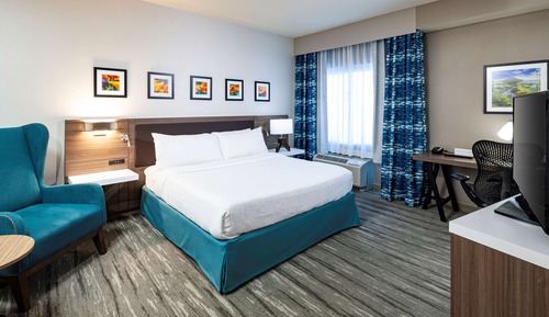 Room, 1 King Bed, Balcony (Walk-in Shower)