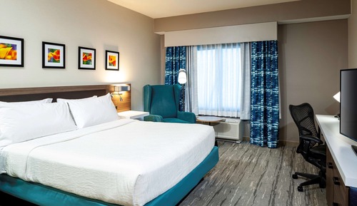 Room, 1 King Bed, Mountain View