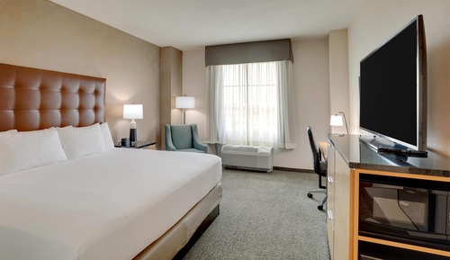 Room, 1 King Bed, Accessible (Roll in Shower)