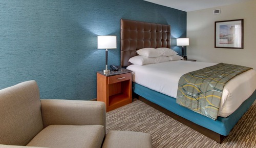 Room, 1 King Bed