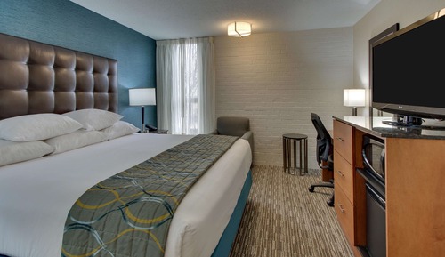 Room, 1 King Bed, Accessible (Tub)