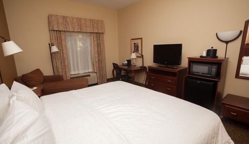 Room, 1 King Bed, Accessible, Non Smoking