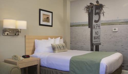 Studio, 1 Queen Bed, Non Smoking