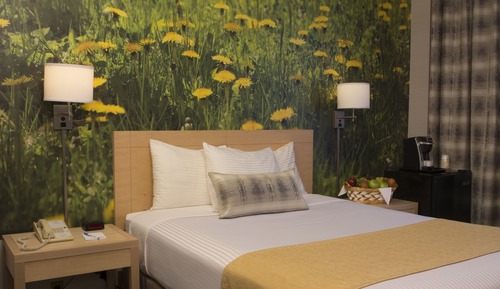 Deluxe Room, 1 Queen Bed, Non Smoking