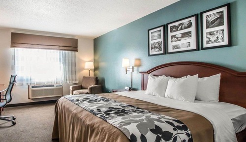 Standard Room, 1 King Bed, Non Smoking