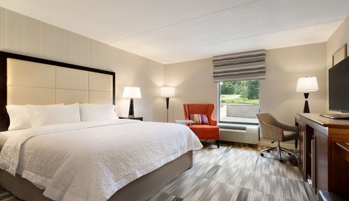 Room, 1 King Bed, Accessible, Bathtub (Mobility)