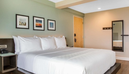 Executive Suite, Multiple Beds, Non Smoking