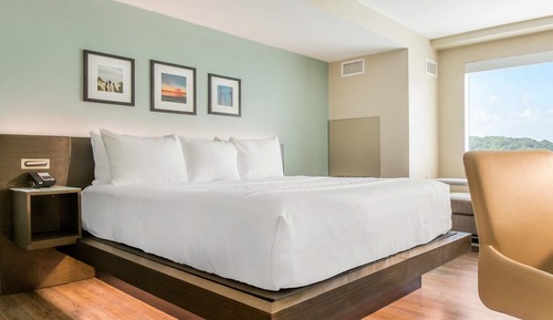 Room, 1 King Bed