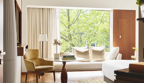 Room, 1 King Bed