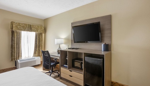 Standard Room, 1 King Bed, Non Smoking, Refrigerator & Microwave