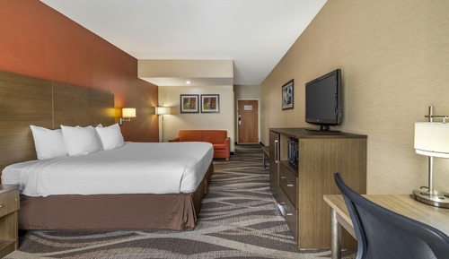 Standard Room, 1 King Bed, Non Smoking, Refrigerator & Microwave (with Sofabed)