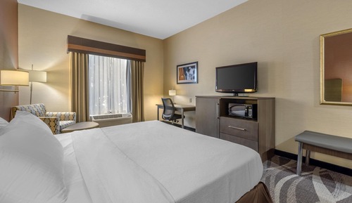 Standard Room, 1 King Bed, Accessible, Non Smoking (Walk-in Shower)