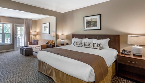Room, 1 King Bed with Sofa bed, Non Smoking (Efficiency)