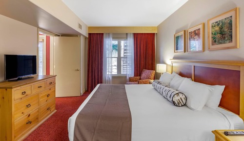 Suite, 1 King Bed with Sofa bed, Non Smoking (Efficiency)