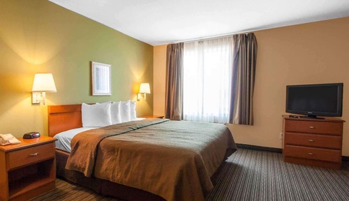 Room, 1 King Bed with Sofa bed, Non Smoking