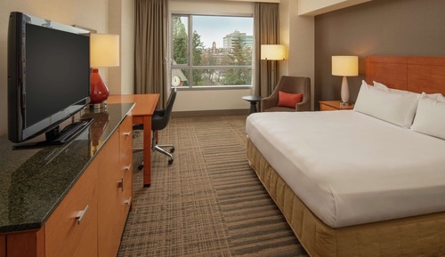 Room, 1 King Bed, Accessible, Park View (Bathtub)