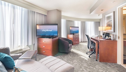 Room, 1 King Bed with Sofa bed (Mobility Accessible, Tub)