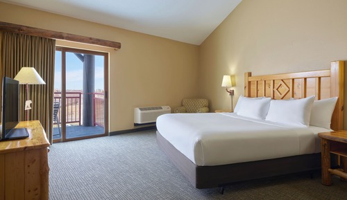 Suite (Waterpark Included-Majestic Bear)