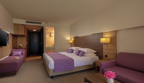 Superior Twin Room with Extra Bed and Balcony