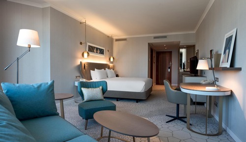 Room, 1 King Bed