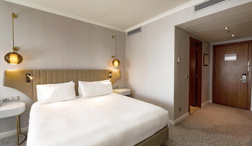 Suite, 1 King Bed