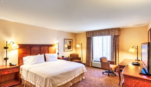 Room, 1 King Bed, Accessible, Non Smoking