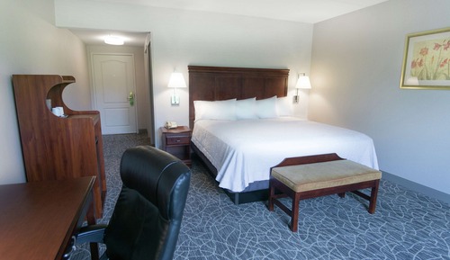 One King Bed Non Smoking