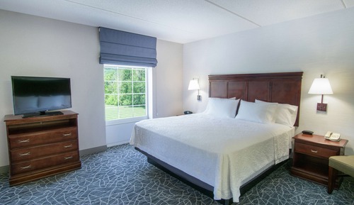 One King Studio Sofabed Non Smoking