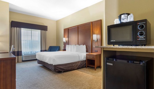 Standard Room, 1 King Bed, Accessible, Refrigerator & Microwave