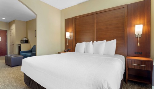 Suite, 1 King Bed, Non Smoking, Refrigerator & Microwave (with Sofabed)