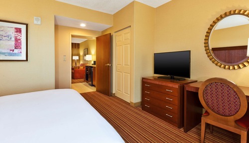 Premium Suite, 1 King Bed (Wellness, In-room air purification)