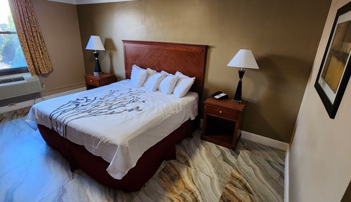 Room, 1 King Bed, Non Smoking