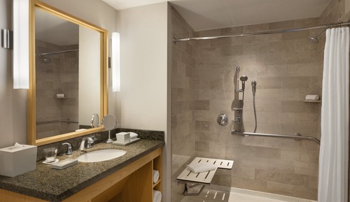 Suite, 1 Bedroom, Mobility Accessible (Roll-In Shower)