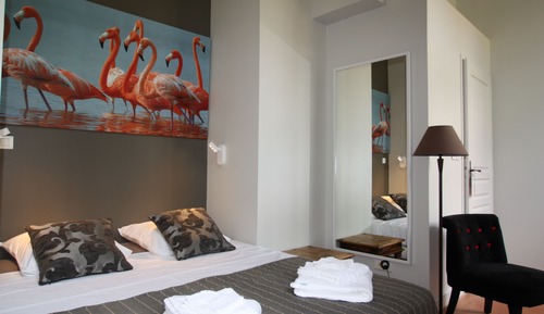 Comfort Suite
