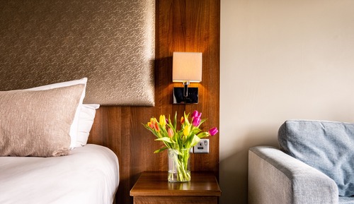 Superior Room, Terrace