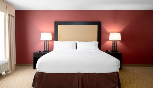 Standard Room, 1 King Bed, Accessible (Communications)