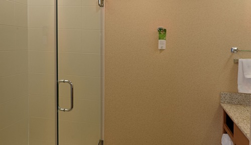 Suite, 1 King Bed with Sofa bed (Mobility/Hearing Access, Roll-In Shwr)