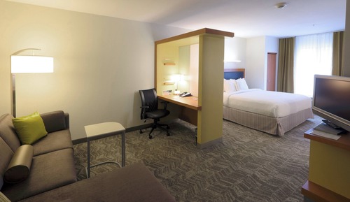 Suite, 1 King Bed with Sofa bed