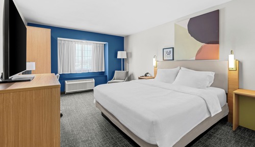 Room, 1 King Bed