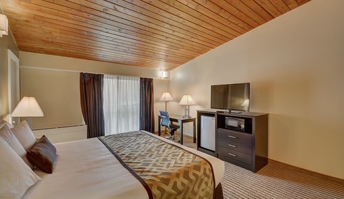 Standard Room, 1 King Bed, Refrigerator & Microwave