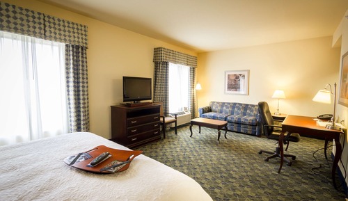 King Suite, Studio, 1 King Bed with Sofa bed