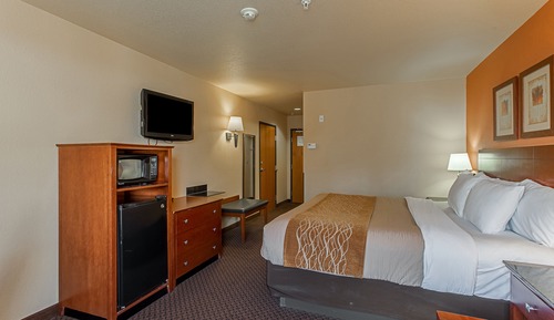 Suite, 1 King Bed with Sofa bed, Non Smoking