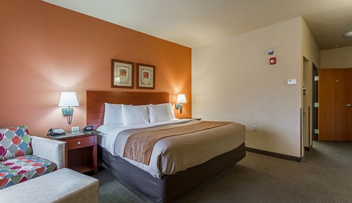 Standard Room, 1 King Bed, Accessible, Non Smoking