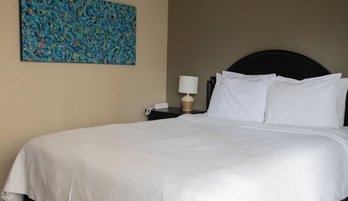 Standard Room, 1 Queen Bed (Window View)