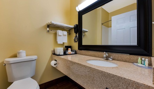 Room, 1 King Bed, Non Smoking