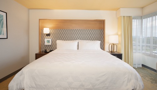 Standard Room, 1 King Bed, Accessible (Communications)