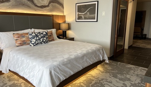 Room, 1 King Bed
