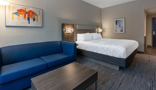 Suite, 1 King Bed with Sofa bed